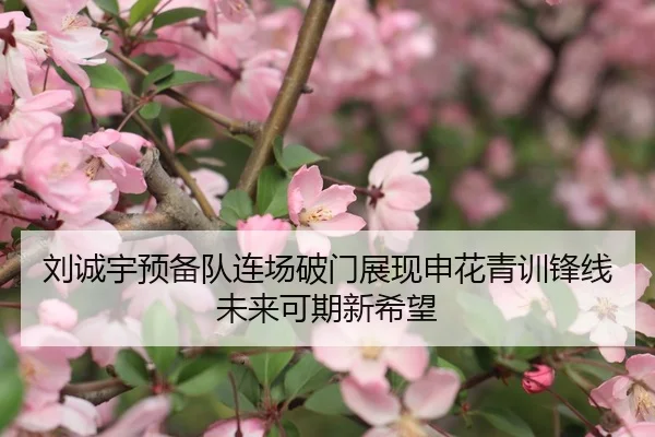 刘诚宇预备队连场破门展现申花青训锋线未来可期新希望